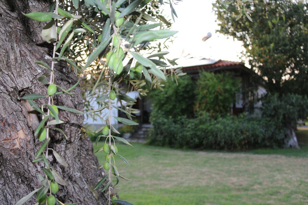Ferienwohnung Patroudis House Skala Rachoni  Exterior foto
