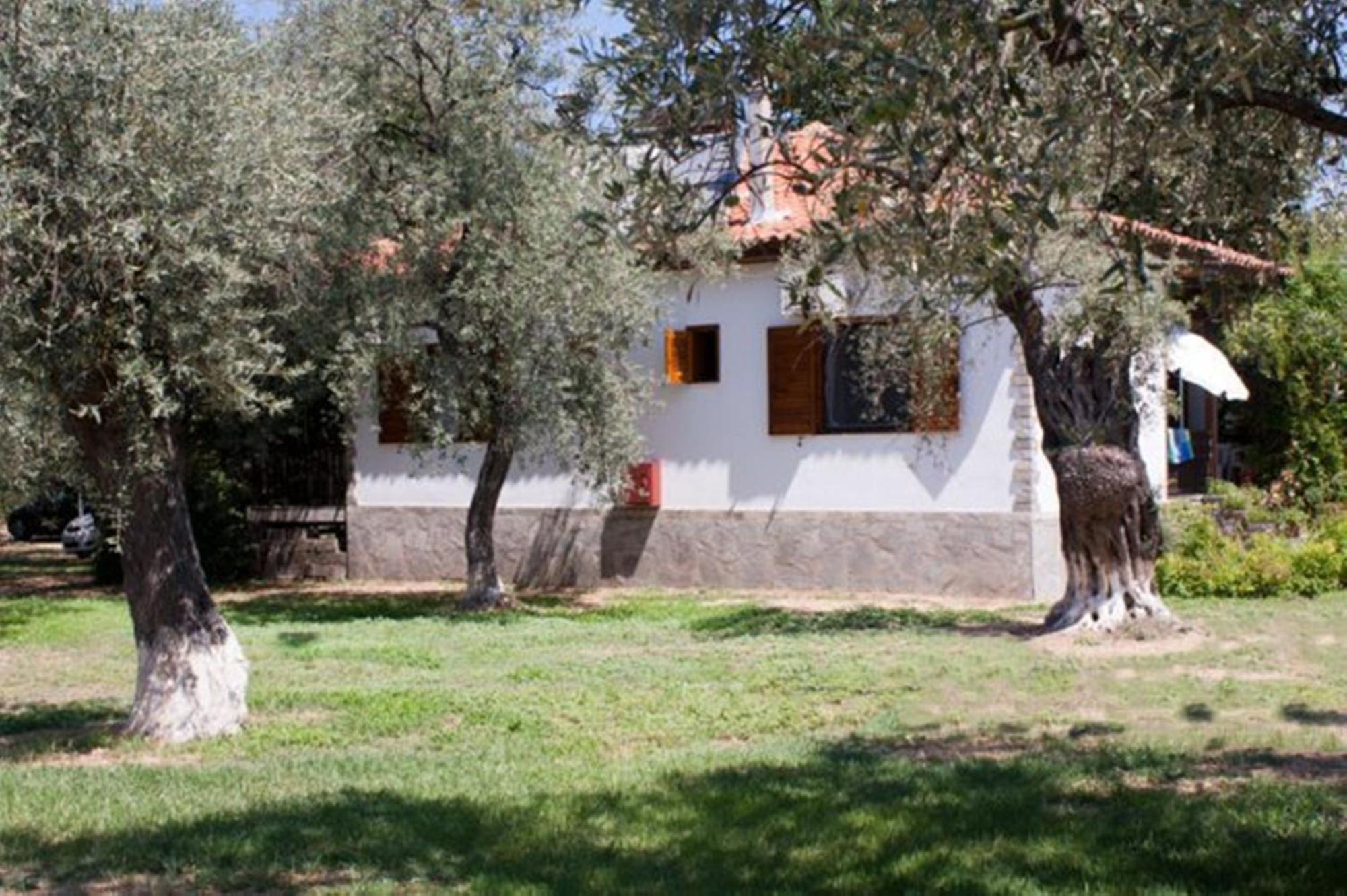 Ferienwohnung Patroudis House Skala Rachoni  Exterior foto